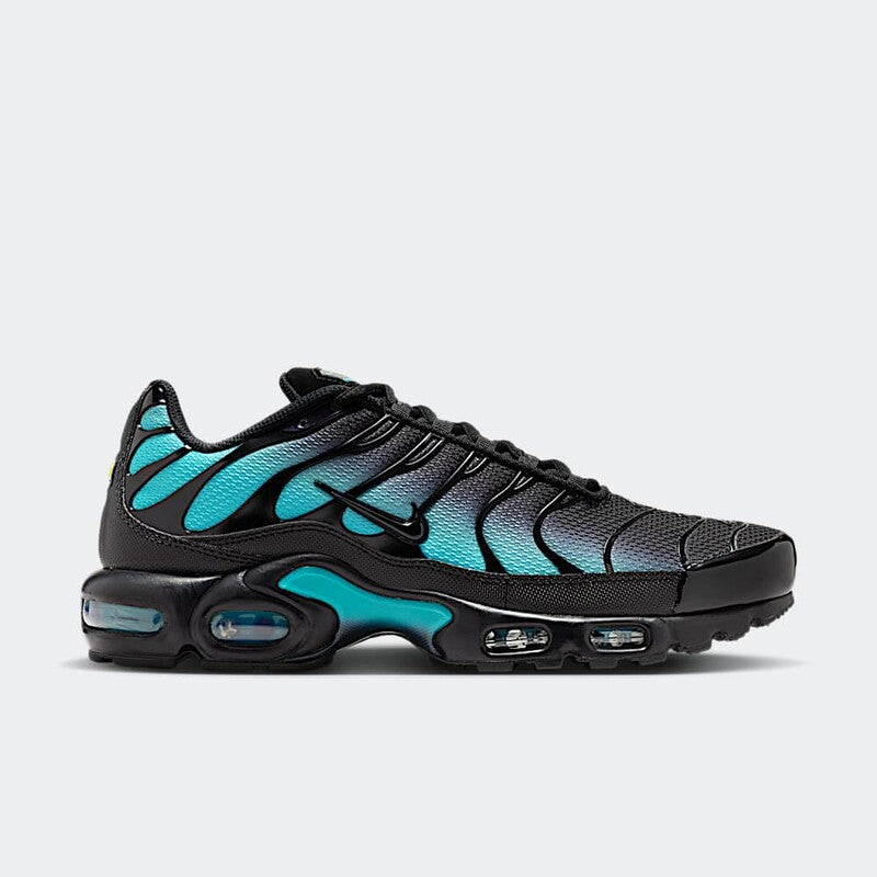 Nike Air Max Plus Black Dusty Cactus