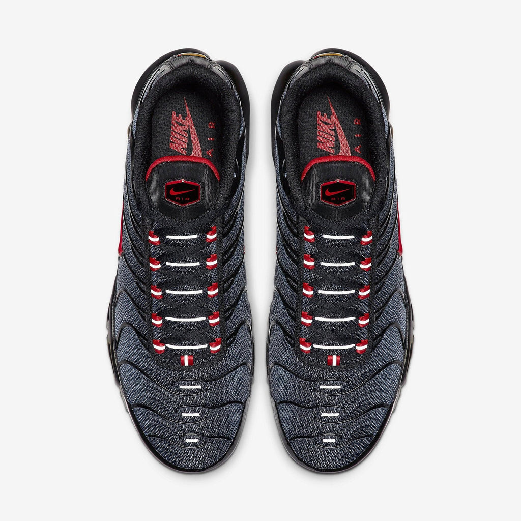 Nike Tn Air Max plus Grey Gradient red