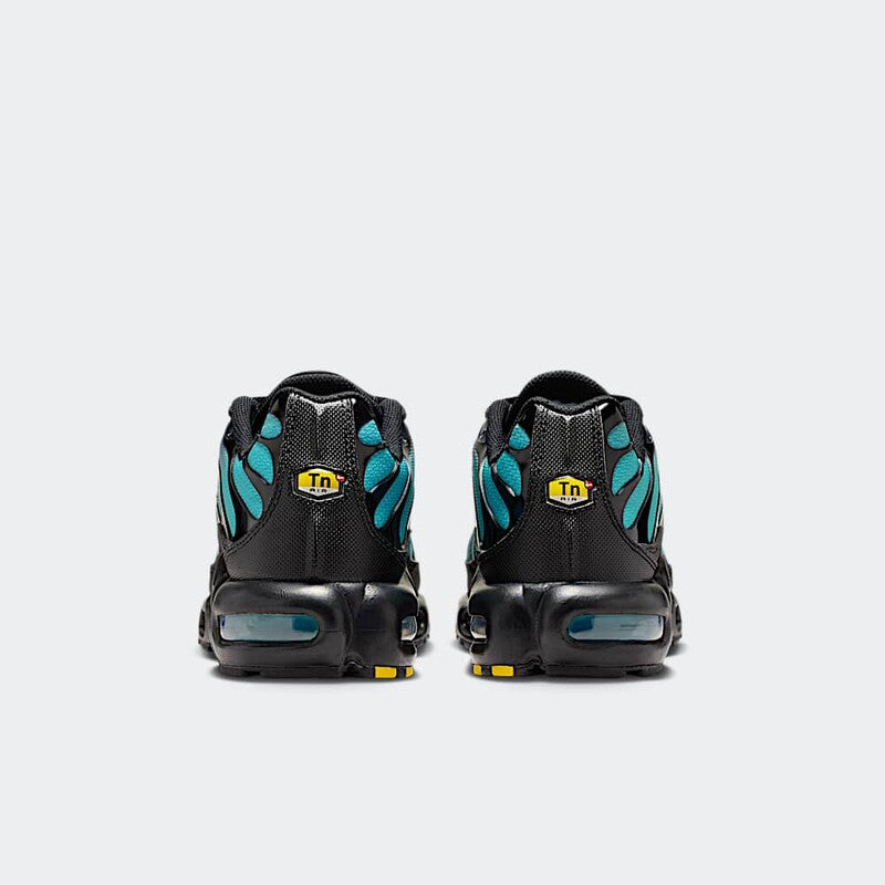 Nike Air Max Plus Black Dusty Cactus